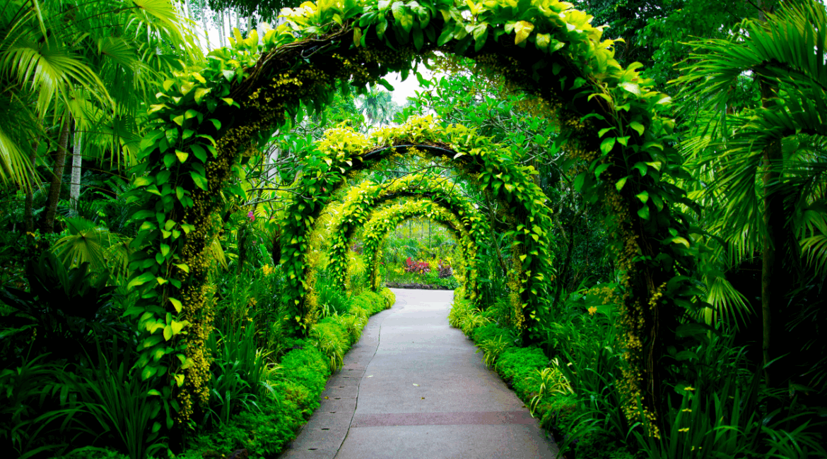 Reflections, Ritual & Reset: A Cancer New Moon Realness Check